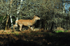dsc_0062.jpg