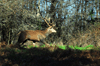 dsc_0064.jpg