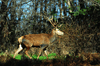 dsc_0066.jpg