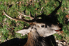 dsc_0073.jpg