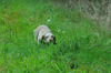 dsc_0003.jpg