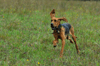 dsc_0004.jpg
