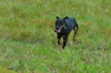 dsc_0005.jpg