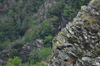 dsc_0001.jpg