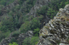 dsc_0002.jpg