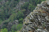 dsc_0003.jpg