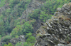 dsc_0004.jpg