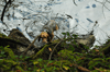 dsc_0008.jpg