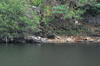 dsc_0010.jpg