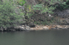 dsc_0011.jpg