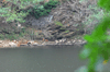 dsc_0012.jpg