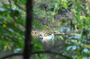 dsc_0014.jpg