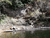 dsc_0016.jpg