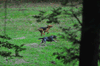 dsc_0001.jpg