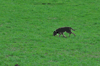 dsc_0002.jpg