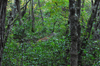 dsc_0021.jpg