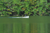 dsc_0009.jpg
