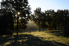 dsc_0031.jpg
