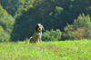 dsc_0035.jpg