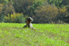 dsc_0036.jpg