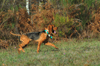 dsc_0017.jpg
