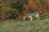 dsc_0018.jpg