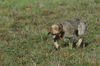 dsc_0019.jpg
