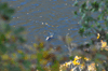 dsc_0022.jpg