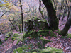 dsc_0024.jpg