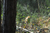 dsc_0001.jpg