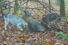 dsc_0002.jpg