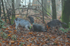 dsc_0003.jpg
