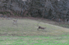dsc_0010.jpg
