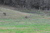 dsc_0011.jpg