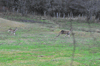 dsc_0012.jpg