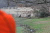 dsc_0014.jpg