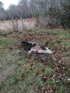 dsc_0016.jpg