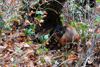 dsc_0004.jpg