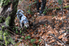 dsc_0009.jpg