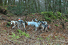 dsc_0015.jpg