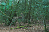 dsc_0016.jpg