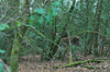 dsc_0017.jpg