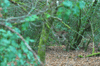 dsc_0018.jpg