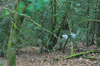 dsc_0019.jpg