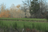 dsc_0020.jpg