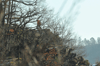 dsc_0007.jpg