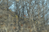 dsc_0008.jpg