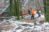 dsc_0015.jpg