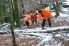 dsc_0016.jpg