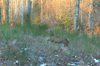 dsc_0032.jpg